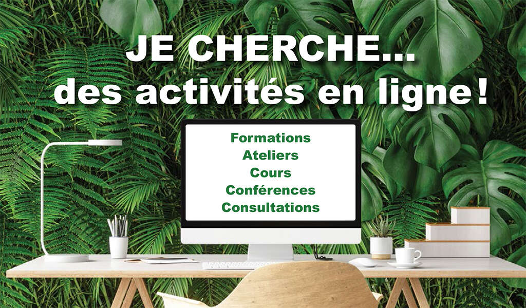 Activités en ligne