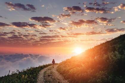 DOSSIER :  Pardon ou Gratitude?