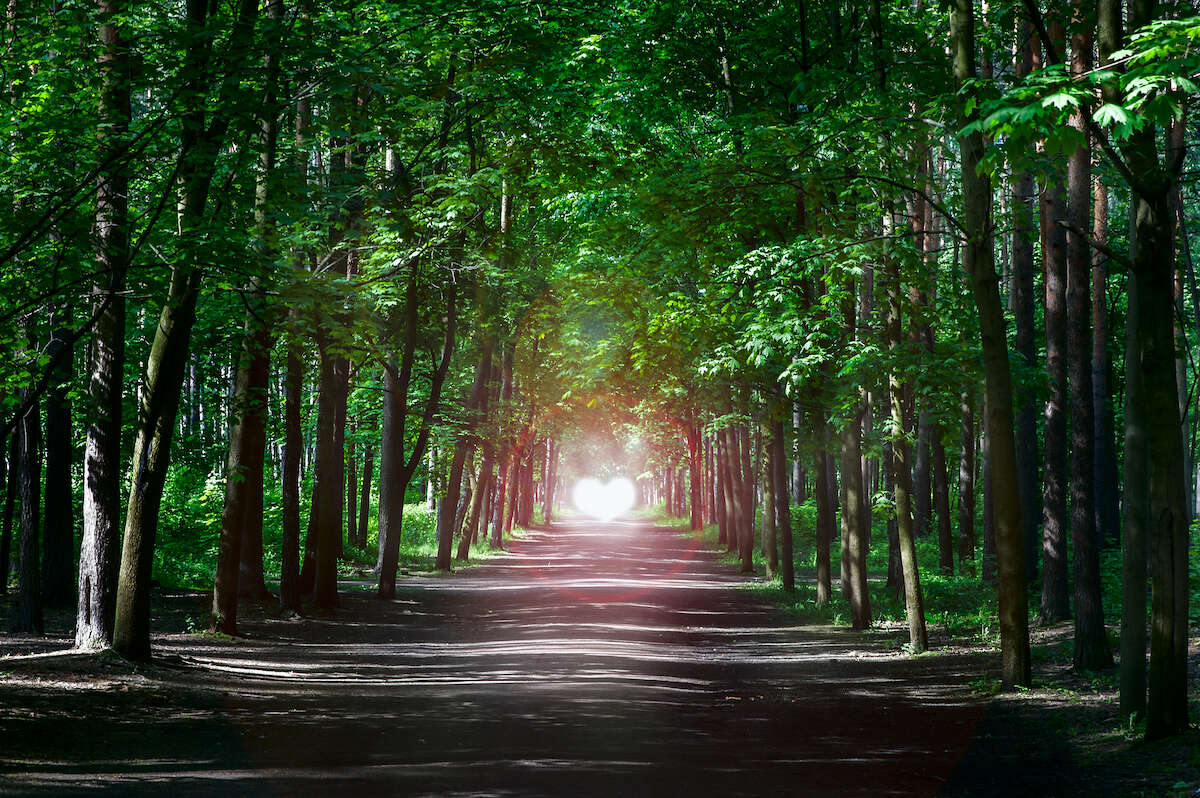 DOSSIER :  Suivre la voie qui mène de la dualité à l’Unité Suivre la voie du cœur